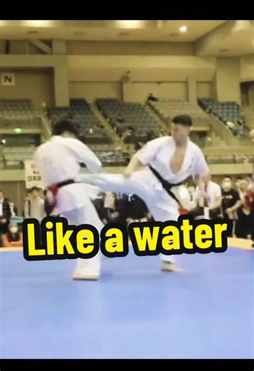 Like Water: The Essence of Kyokushin Karate