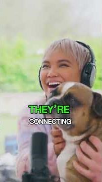 Why Dogs Howl When You Sing | Dog Behavior