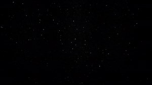 Real Dust Particles Floating Black Background Slow Motion
