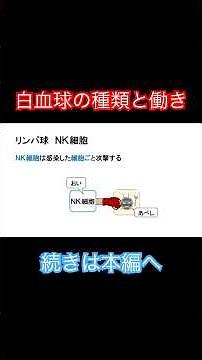 白血球の種類と働き #看護学生 #国家試験