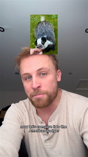 1.8M views · 99K reactions | The differences!  | Josh From England | Facebook