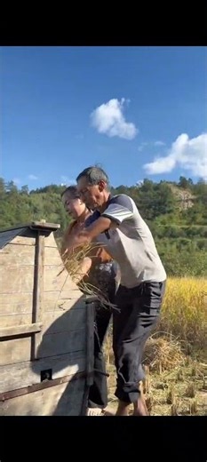 Golden Autumn in the Mountains: A Colorful Journey Captured