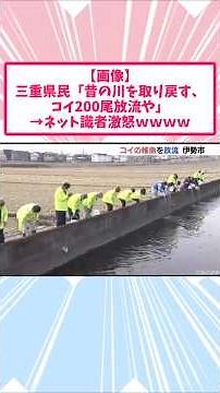 Mie Resident: "I'm restoring the river to how it used to be by releasing 200 carp" → Internet exp...