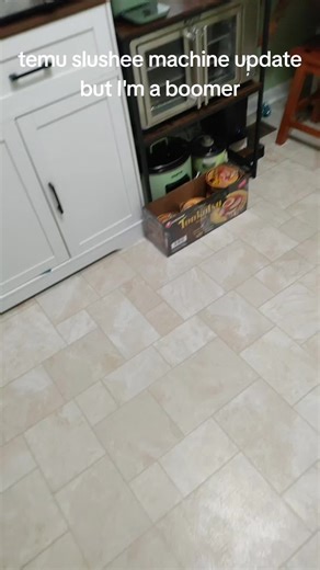 Temu Slushee Machine Review for Beginners