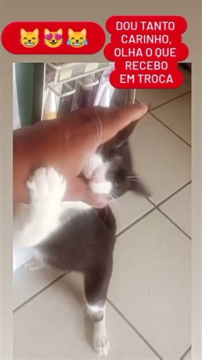 Ele não me ama 😿😹😻