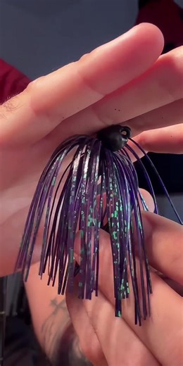 June bug CRAWLEX JIGS #pesca #tiktoklive #livehighlights #pescadeportiva #fishingbass