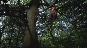 The Color of Magic 2008