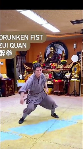 Mastering Zui Quan in 30 Days CHALLENGE