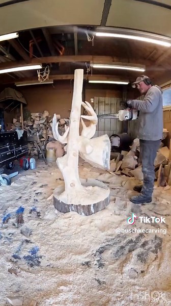 BuschkeCarving on TikTok