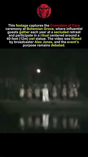 The Secret Owl Ritual