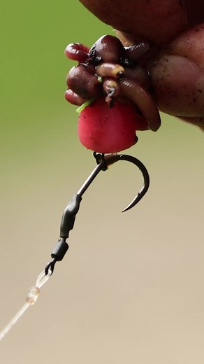 🪱 Who else uses worms in their fishing? In this quick tip, we show you exactly how to thread worms onto a hair—a simple edge that can make a big difference, especially in colder water. #Fishing #Trakker #Worms #CarpFishing #CarpFishingTips | Trakker Products