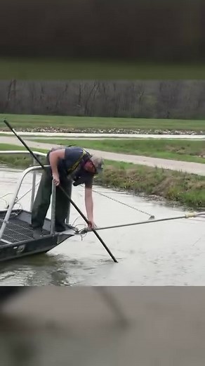 3.2M views · 10K reactions | Time to catch some musky for spawning! #musky #fishing #conservation #kentucky #droneshots | Kentucky Afield | Facebook