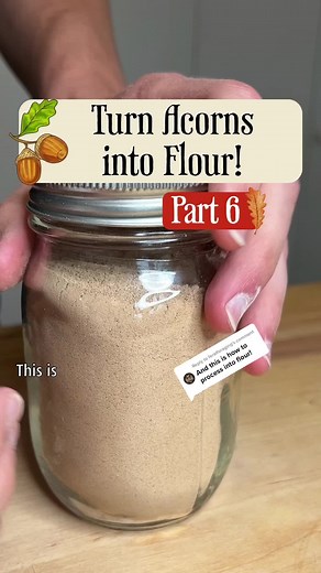 Processing Acorns into Flour: Dehydration & Fine Starch Extraction