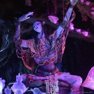 529 reactions · 51 shares | Here, every day is a chance to explore new worlds. Come experience all the enchantment with the 4-Park Magic Ticket. One admission per Theme Park. One Theme Park per day. #PowerofMagic  Pandora – The World of Avatar | Walt Disney World | Facebook