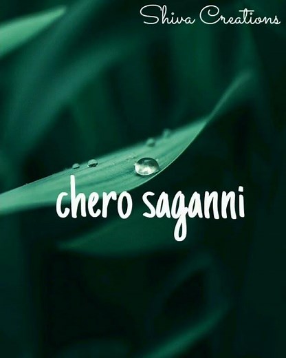 Dhooram Dhooram Song 100%Love