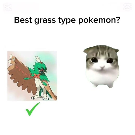 BEST GRASS TYPE POKEMON?