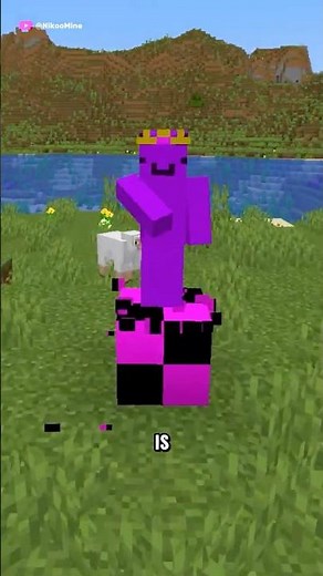 Minecraft Missing Texture Block Secret 😲