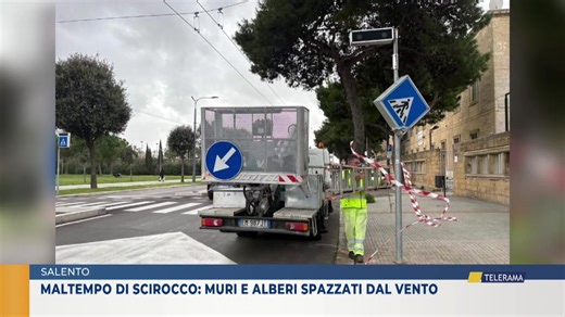 TELERAMA NEWS LECCE - EDIZIONE DELLE 20.30 DEL 4 FEBBRAIO 2026 | TeleRama