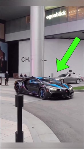 qCarCollector on TikTok