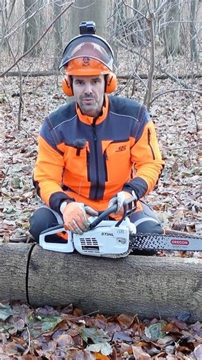 Holz unter Spannung MS201