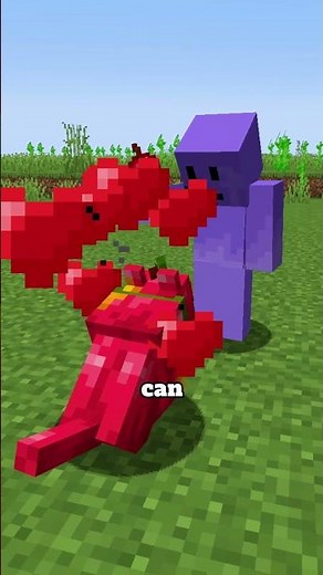 This dog is made of apples #minecraft