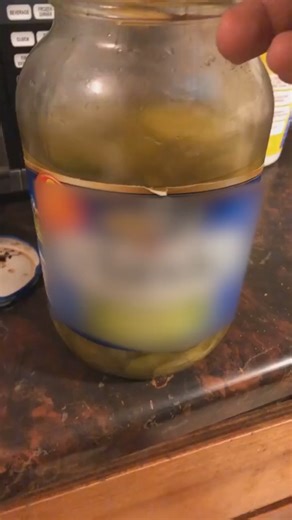 Funny Dog Tries Pickle! | The Pet Collective