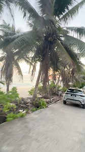 The natural beauty of seychelles through coconut trees by the sea side👌🫶🇸🇨 #followers #highlights #seychelles #reelschallengereelschallengereelschallengereelschallenge | 𝐏𝐫𝐨𝐛𝐚𝐬𝐡𝐢 𝐖𝐢𝐭𝐡 𝐒𝐡𝐚𝐫𝐢𝐟