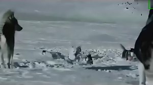 团队激励专用视频，这才是真正的团队！