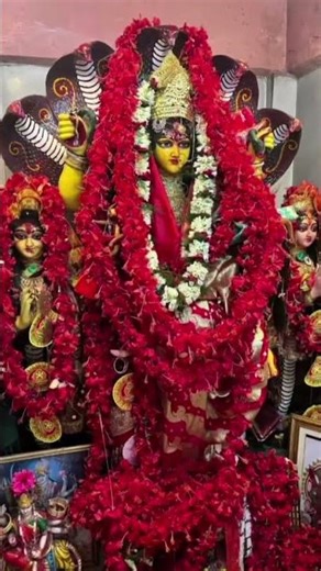 অলৌকিক মা🙏মনসা দেবীর জয় 🙏🌺🌺🔱#মা #মনসামাতা #পদ্মাবতী #ভক্তি #manasa #devi #devashree #shorts #view