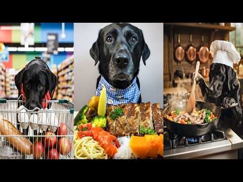 A Black Labrador Cooking and Eating Meals | Funny Dog Food Challenge in the Kitchen |Dog eating