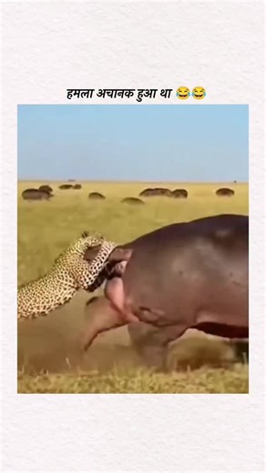 @inspire._.now on Instagram‎: "Dubai अब ऐसी “Smart Roads” बना रहा है जो खुद ट्रैफिक को समझकर traffic lights को control करेंगी! هذه التقنية تستخدم حساسات صغيرة تراقب حركة السيارات طوال الوقت… इन सड़कों के अंदर ultra-sensitive sensors लगाए जा रहे हैं जो हर सेकंड गाड़ियों की speed, density और direction को detect करते हैं। सिस्टम खुद decide करता है किस signal को हरा करना है और कहाँ भीड़ कम करनी है। मतलब— ❌ No manual control ❌ No traffic jam guesswork ✔ Pure AI brain controlling the road अगर ये पूरे