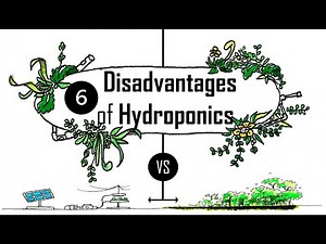 Why is Soil Better than Hydroponics ? | 6 Disadvantages of Hydroponics