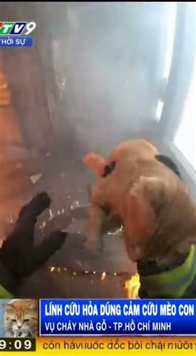 BRAVE FIRE FIGHTER IN CHINA SAVES CAT FROM INFERNO