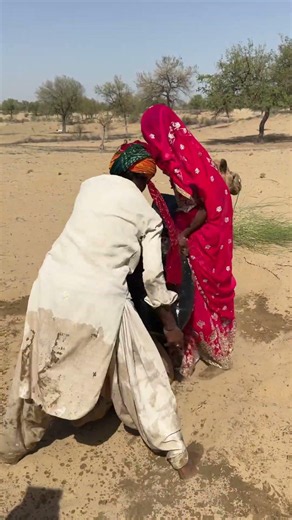 🐫💦 بين المحاولة والتعب… لم يستطع الزوجان حمل أنبوب الماء فوق الجمل فسقط الماء أرضًا! 🐪💔