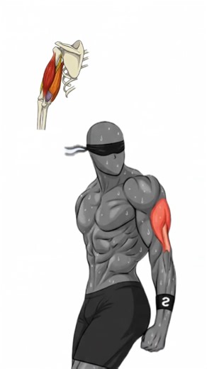 💥 Secret 3 Moves to Grow Massive Triceps! 💪