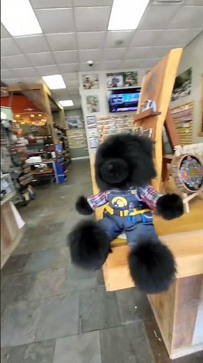 Gene The Bear Visits Fly Fishing the Smokies | Bryson City, NC