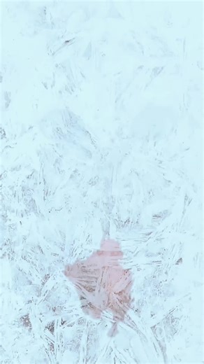 Комната геймера. Премия Дарвина | pc gaming setup