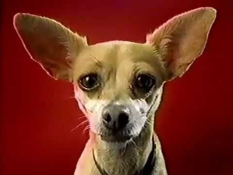 Taco Bell Chihuahua Commercials Collection (1995-1999)