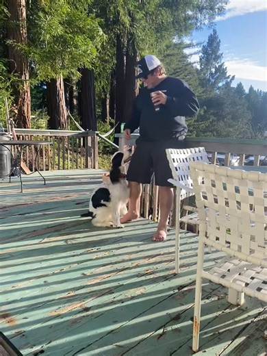 Just remember, count your blessings…🐏👈🏻❤️🇺🇸 | Ryan McNeely