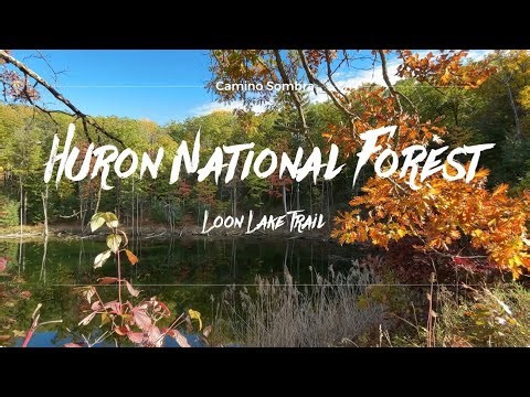 Huron National Forest of Michigan - Loon Lake Trail [4K]