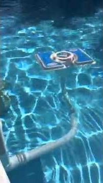 Skim-A-Round ALL IN ONE Review - Extra Pool Skimmer