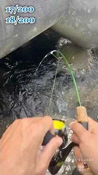 【穴釣り】釣り初心者でも簡単、巨大テトラの隙間から凄く美味しい夕食のおかずが釣れます、大物も釣れるよ
