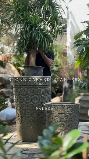 Some of our most loved pieces 🤍 (Studio Palasa, Home Decor, Plant Decor, Stone Planters, Stone Art, Bangalore, Hyderabad) | Studio Palasa