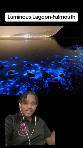 Exploring the Enchanting Luminous Lagoon in Falmouth, Jamaica