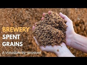 BREWERY SPENT GRAINS : A Valuable By-Product