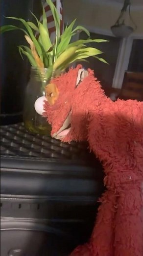 elmo world dance party kids