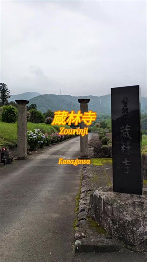 神奈川県秦野市の蔵林寺 昨年の6月13日6時半の初参拝🙏⛩️ 秦野戸川公園〜開成町の アジサイの途中で🚗 参道からのアジサイ並木と 背景の丹沢山地が素敵でした 動画の参道をまっすぐ進むと 右側に無料駐車場があります 変な場所に停めると 自分の車が映り込みますよ🤣🤣🤣 境内はちょうどお掃除中で あまり撮影できませんでした🤭 撮影 Pixel8a #蔵林寺 #アジサイ #秦野市