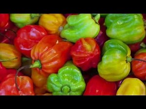How To Make Epis| Haitian Green Seasoning