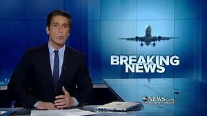 Bird Strike Forces Emergency Plane Landing 20 Minutes After Takeoff