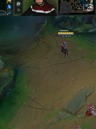 Exploring the Gap in League of Legends ADC Gameplay